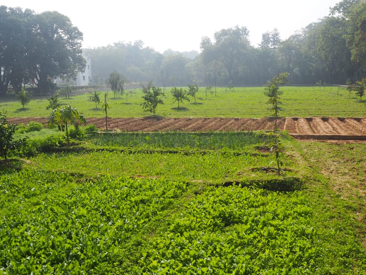 Welcome to Ecothought Journal